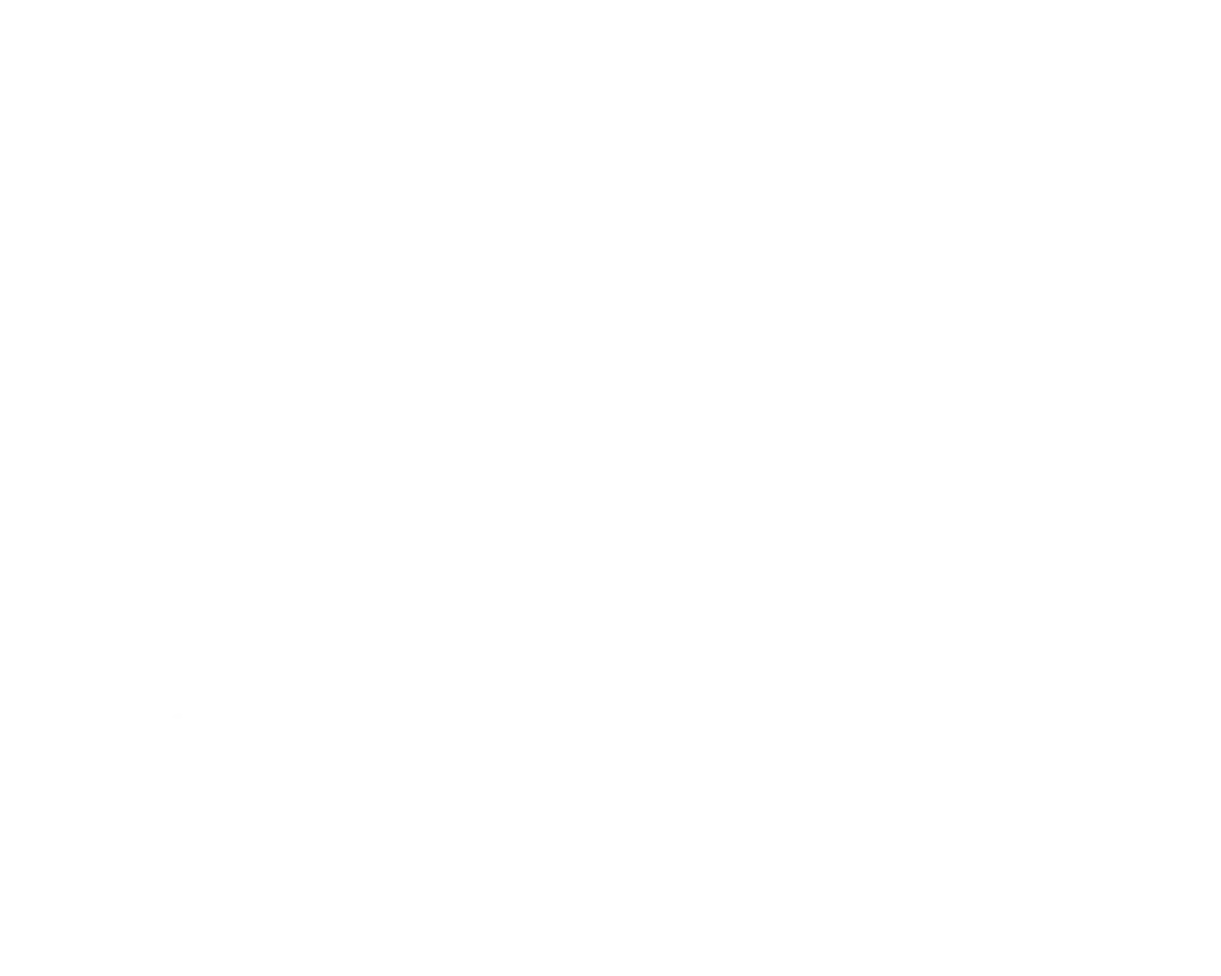 Logo Steinhorst Gitarren Nürnberg