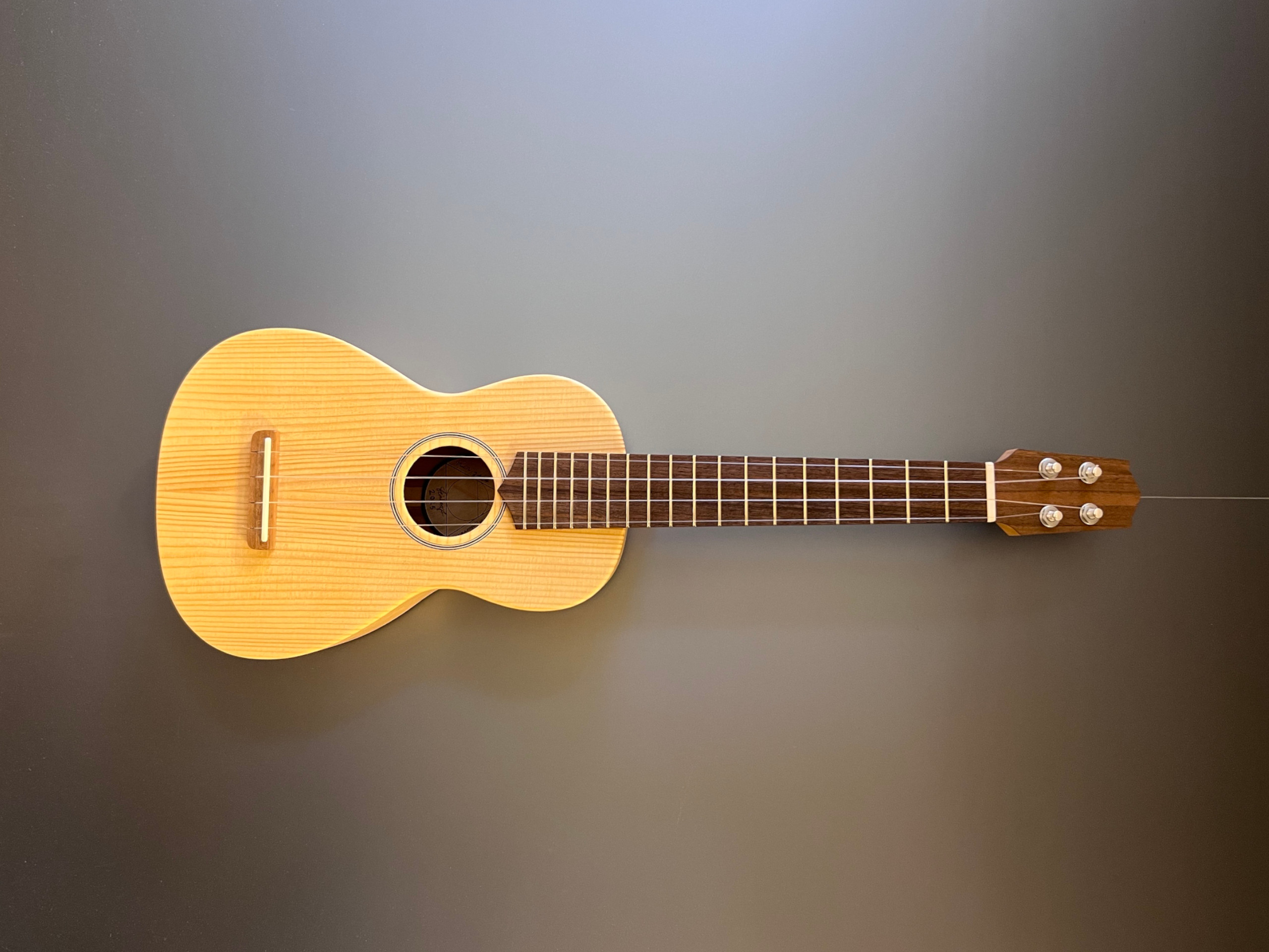 Klassik Ukulele Nürnberg Front