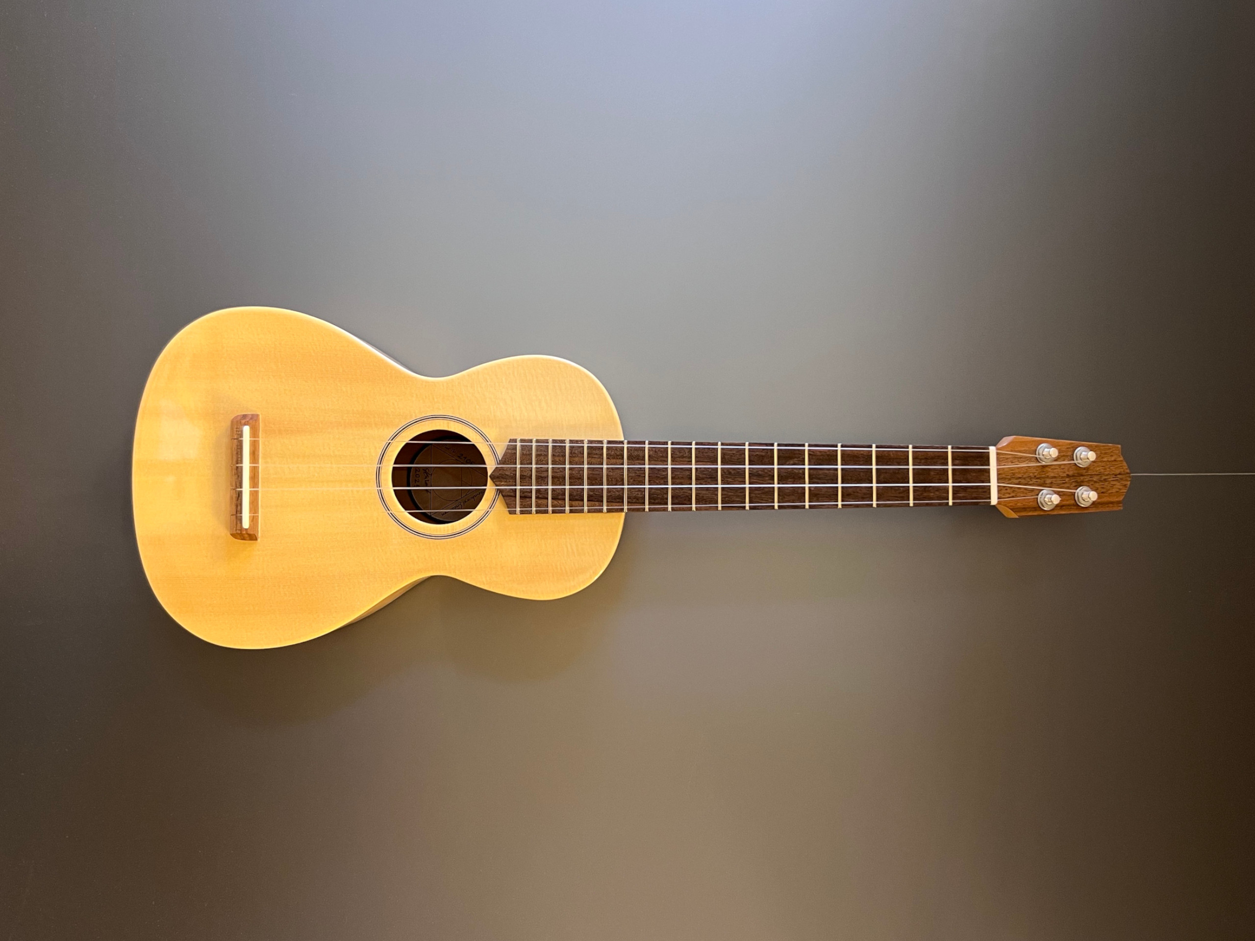 Tenor Ukulele Nürnberg Front