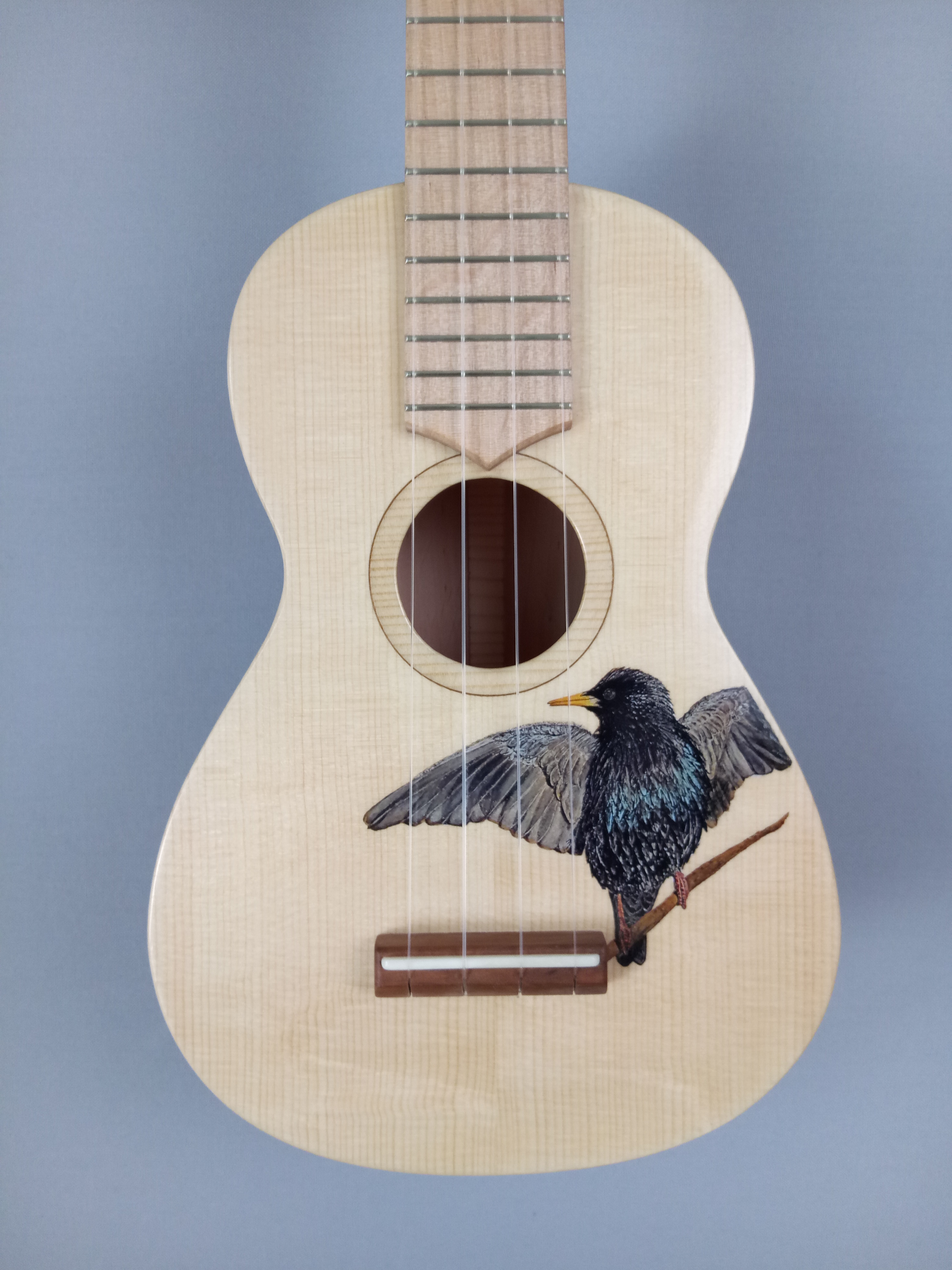 Ukulele Nürnberg bemalte Decke