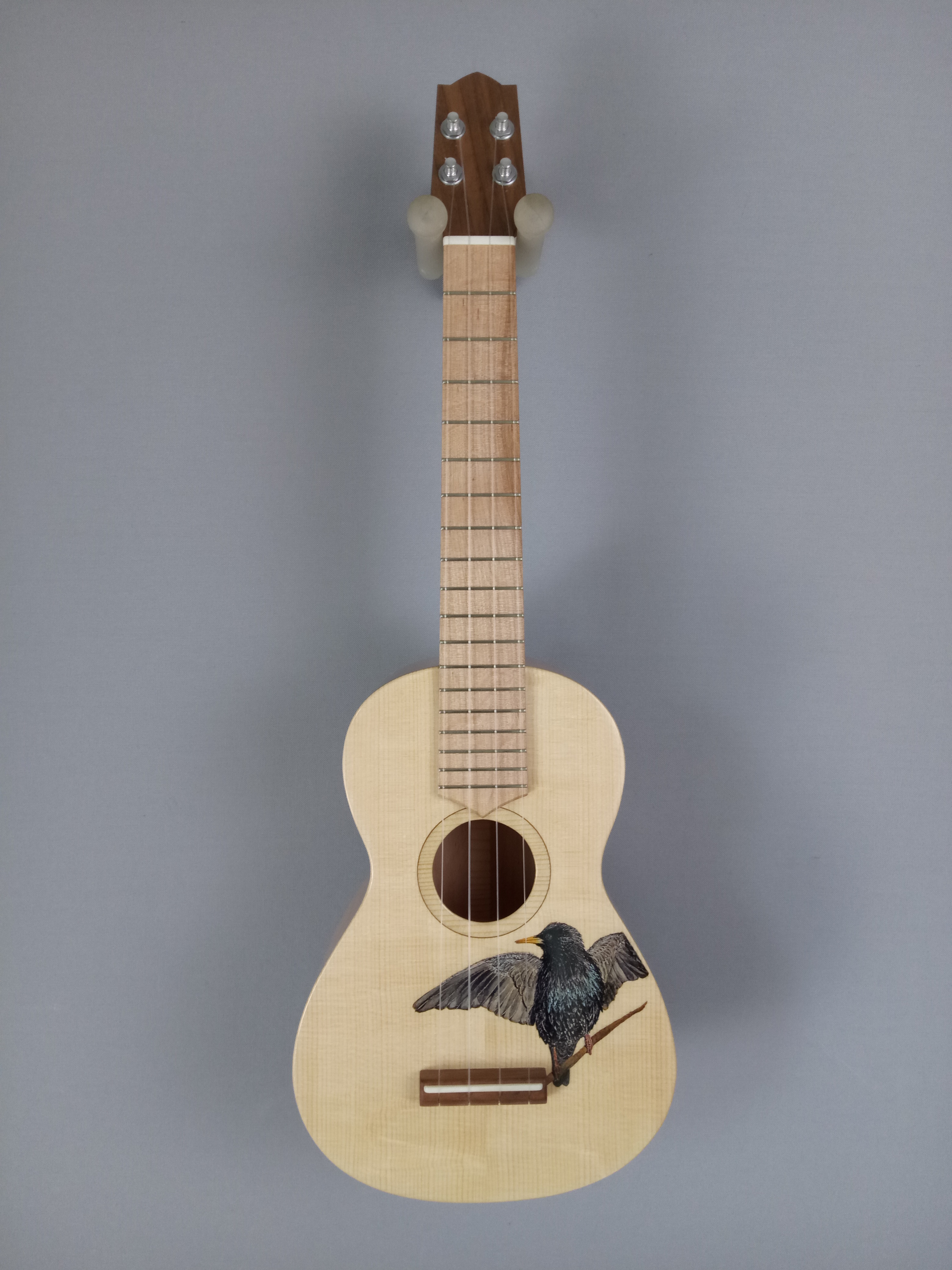 Ukulele Nürnberg bemalt